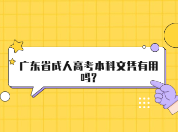 广东省成人高考本科文凭有用吗?