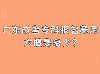 广东成考专科报名费用大概是多少