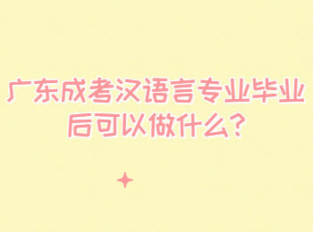 广东成考汉语言专业毕业后可以做什么